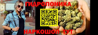 СК Рязань