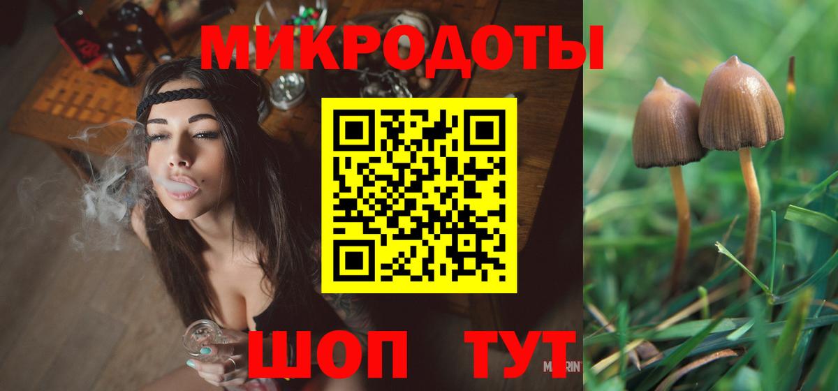 Галлюциногенные грибы Psilocybe Полевской